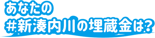 あなたの#新湊内川の埋蔵金は？